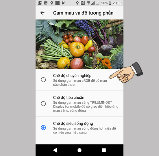Tùy chọn chế độ